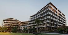 terraces