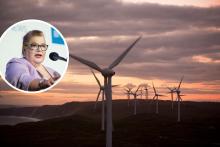 Main pic: Synergy's wind farm. Inset: Sue Ellery.