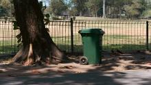 Rubbish