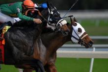 Horse racing. 