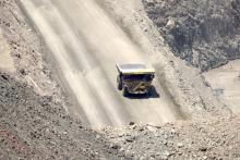 Photo: Michael O'Brien.