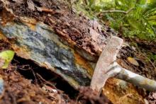 SIREN_ QUEEN CHARLOTTE_BNBWA