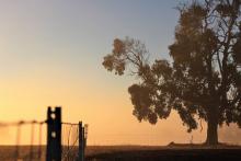WA farms record strong price growth last year. Photo: Tom Zaunmayr