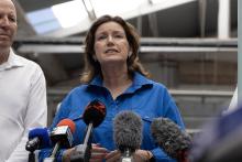 Fisheries Minister Jackie Jarvis. Photo: Tom Zaunmayr