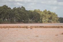 A leaky weir on the Ashburton River installed by Minderoo. Photo: Tom Zaunmayr