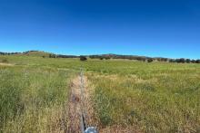 EXPEDRA RESOURCES SPRINGFIELD BNBWA 1440 X 960