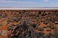 Toro Wiluna Lake Maitland uranium project BNBWA