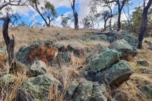 DALAROO_QUARTZITE OUTCROP WATHEROO_BNBWA