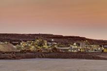 Paladin