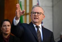 Albo