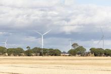 The Flat Rocks Wind Farm near the Kojonup site. Photo: Tom Zaunmayr