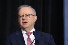 Anthony ALbanese. Photo: Michael O'Brien