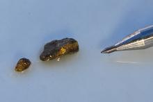 Great Southern Mining visible gold 26GBRC035 45to46m Golden Boulder WA BNBWA