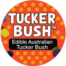 Tucker Bush