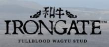 Irongate Fullblood Wagyu Stud