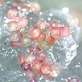 Pemberton Finger Limes