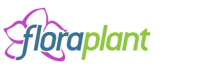 FloraPlant